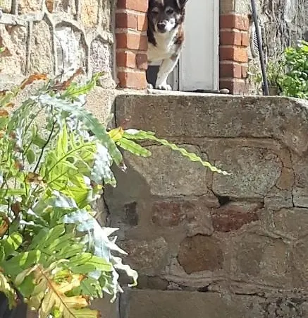 Maison De La Comtesse 3* Cosne-d'Allier