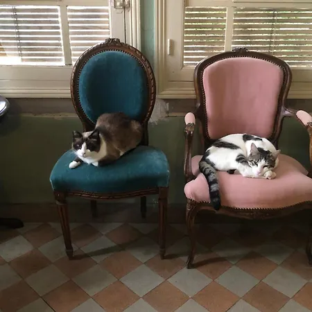 Maison De La Comtesse