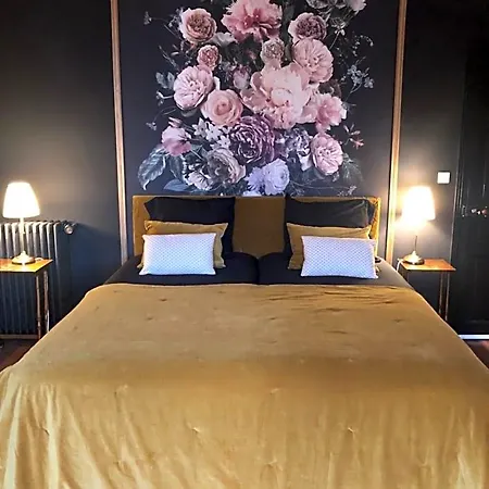 Bed & Breakfast Maison De La Comtesse Cosne-d'Allier
