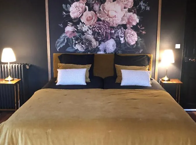 Maison De La Comtesse Bed & Breakfast 3*