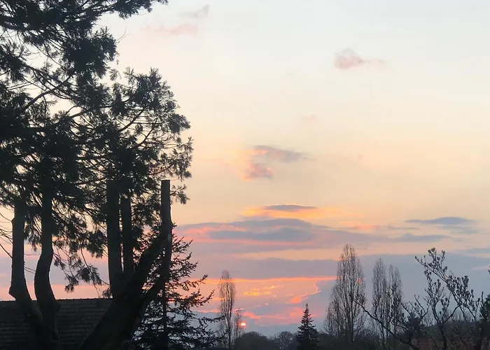 Maison De La Comtesse 3*