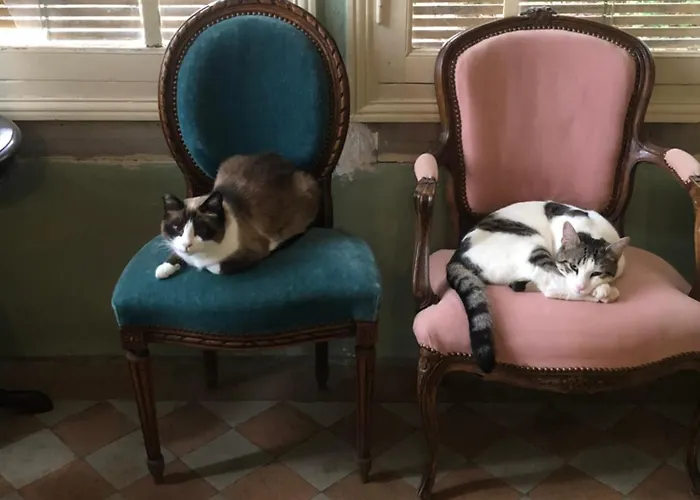 Maison De La Comtesse